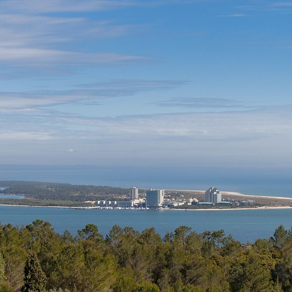 Local detail connected to Lavender in Alentejo
