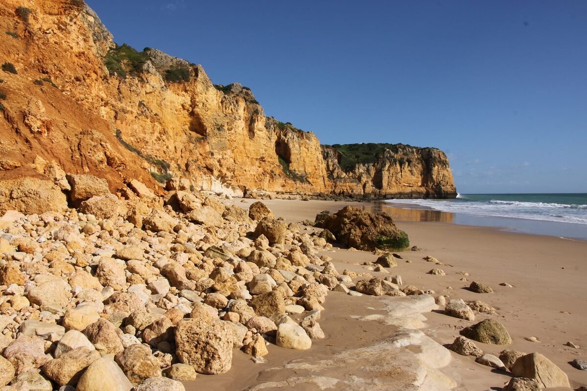 Landscape detail for Amadora