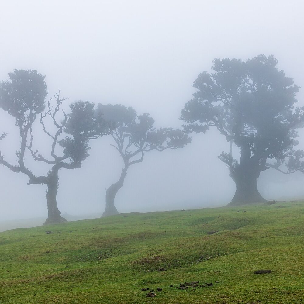 Local detail connected to Amadora