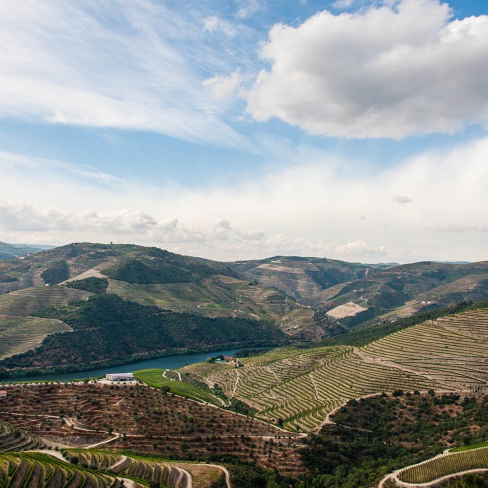 Local detail connected to Azeitao