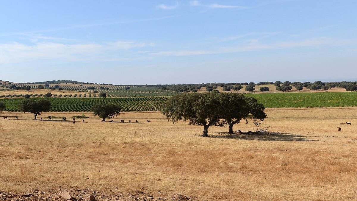 Beach Houses in Portugal