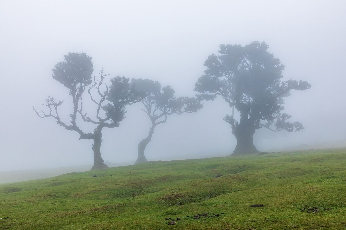 Landscape detail for Family Holidays