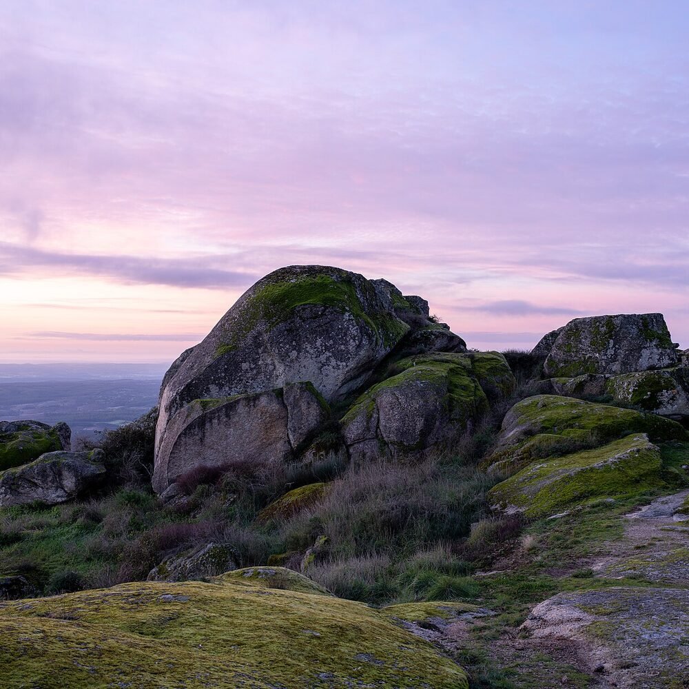 Local detail connected to Hotel da Bolsa Porto