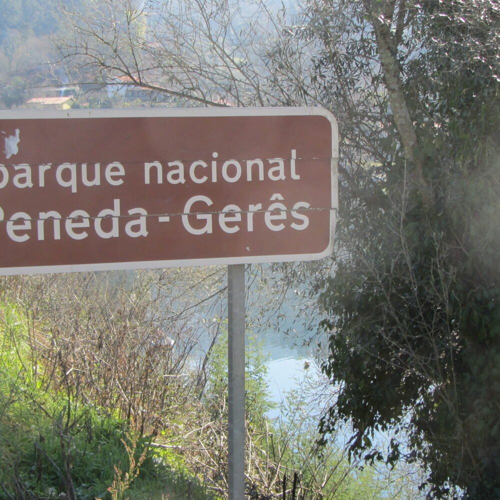 Local detail connected to Portuguese Beer