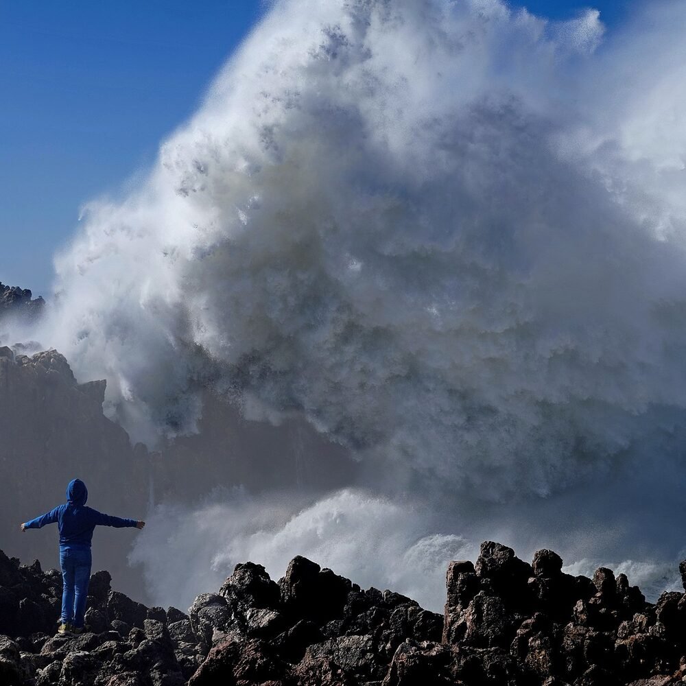 Local detail connected to Portuguese Red Blends