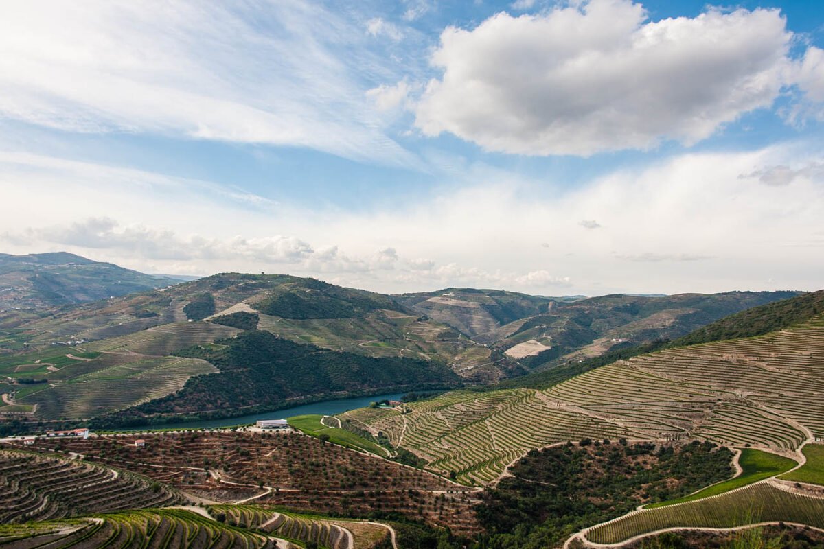 Landscape detail for Setubal