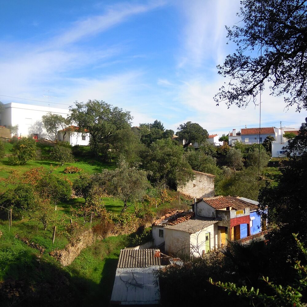 Local detail connected to She in Lisbon