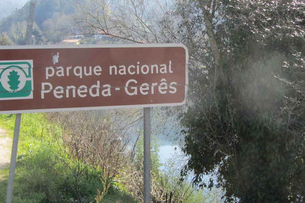 Landscape detail for Alvor Villas